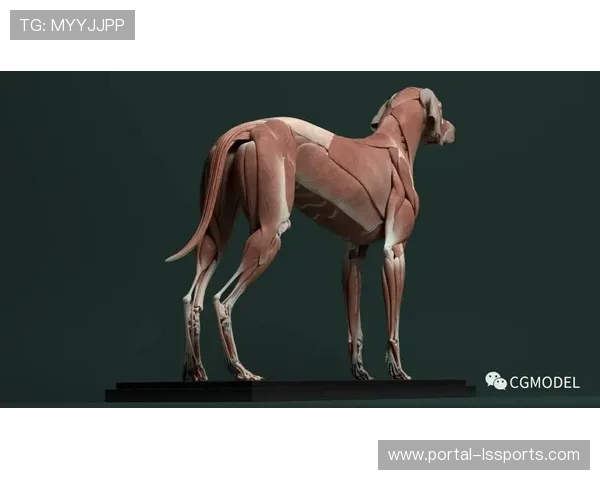 德甲采用Amazon Nova模型实现多语种自动解说 德甲采用Amazon Nova模型实现多语种自动解说